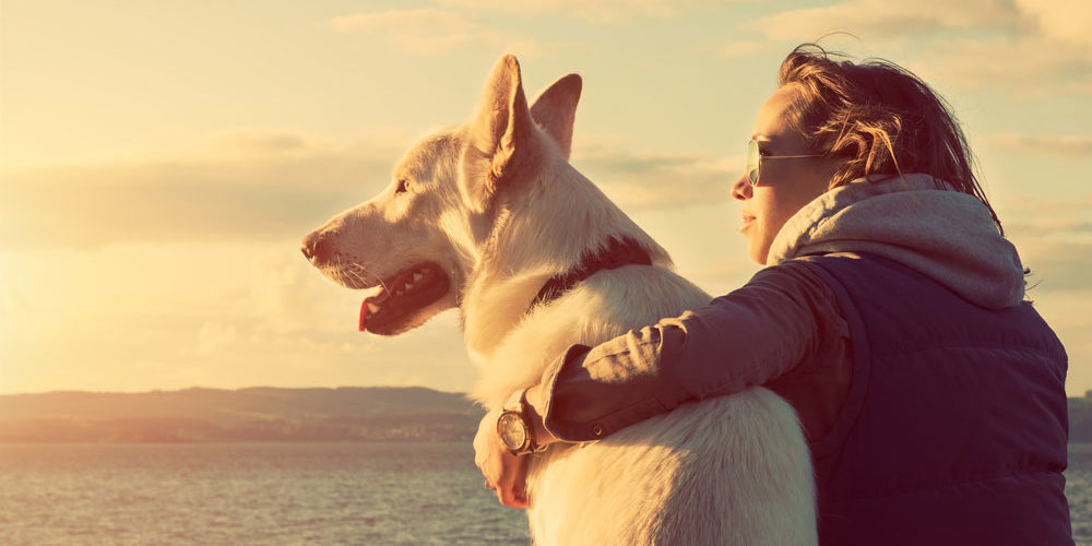 Legenda para foto com cachorro: 60 ideias para celebrar o melhor amigo do homem