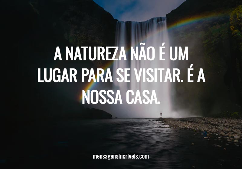 A natureza não é um lugar para se visitar. É a nossa casa. 