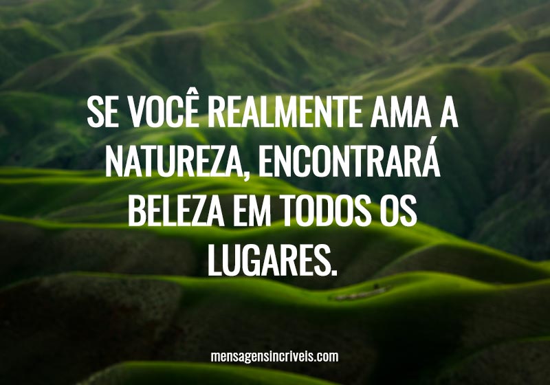 Se você realmente ama a natureza, encontrará beleza em todos os lugares. 