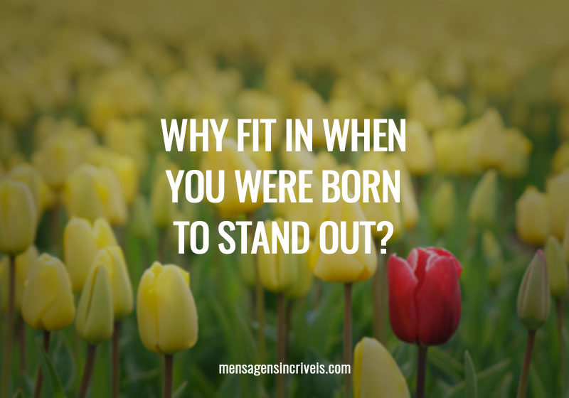  Why fit in when you were born to stand out? 